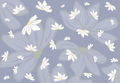 ~Preorder~ Naupaka Petal Drift