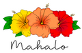Hibiscus Mahalo - Peach Sunrise
