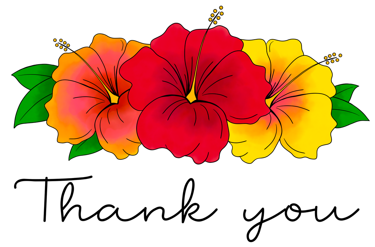 Hibiscus Thank You - Ruby Sunrise