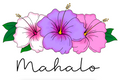 Hibiscus Mahalo - Lavender Sunset