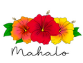 Hibiscus Mahalo - Ruby Sunrise
