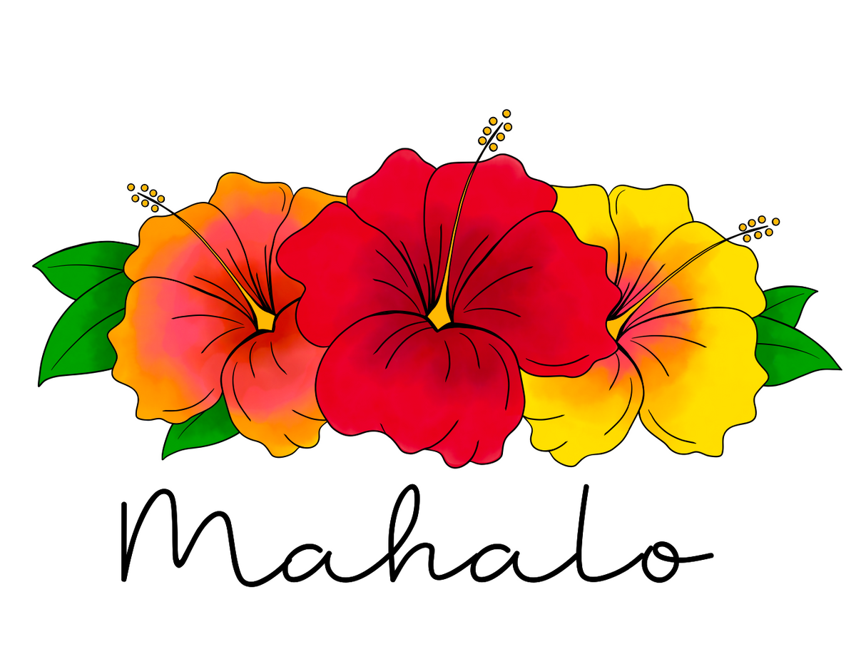 Hibiscus Mahalo - Ruby Sunrise