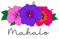 Hibiscus Mahalo - Violet Sunset